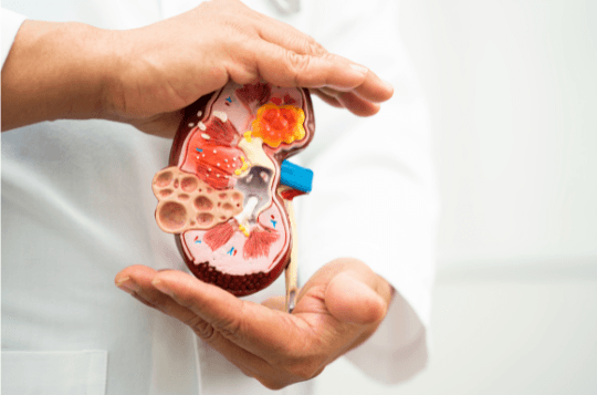 Nephrology